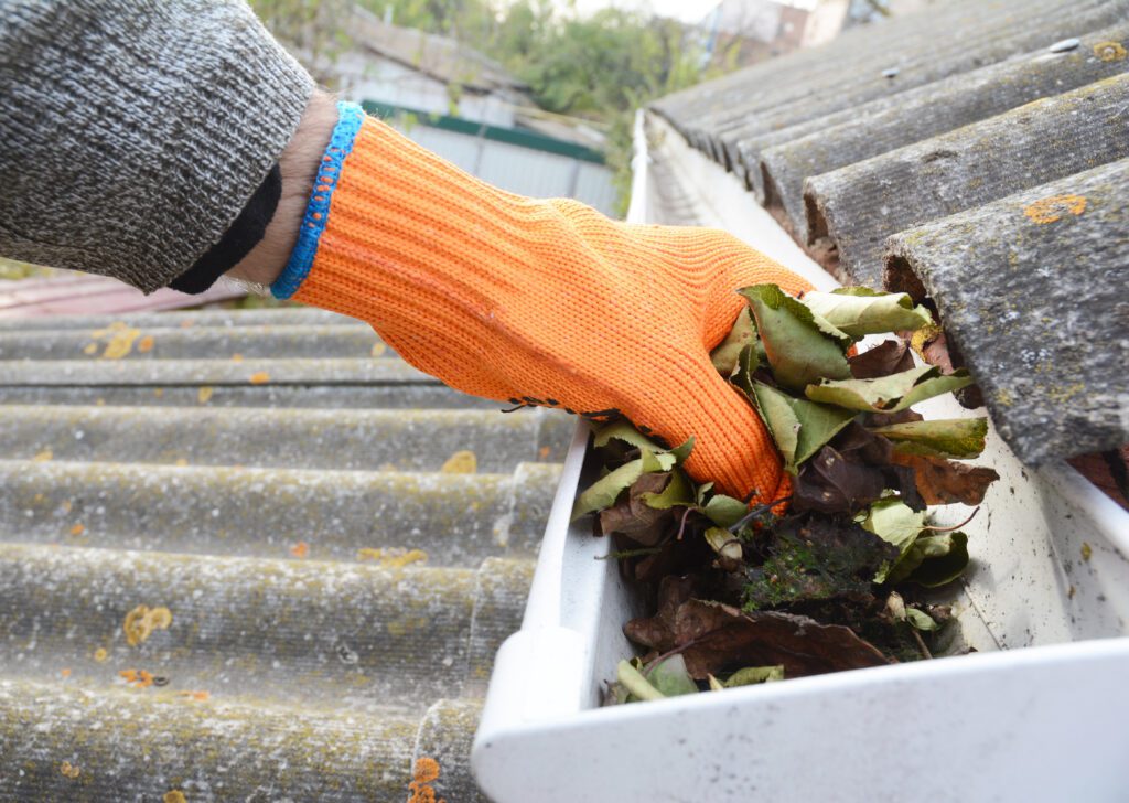 Clean Out Gutter